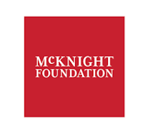 MCKINGHT FOUNDATION