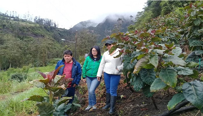 Capacitación Ambiental